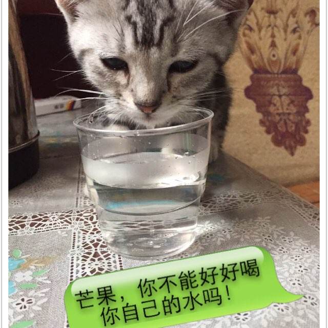 印度尼西亚身份证怎么买到
